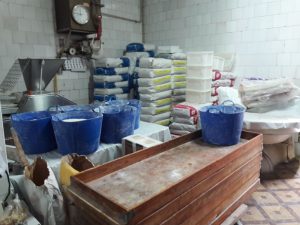 Excursión Saludable – Forn Manuela