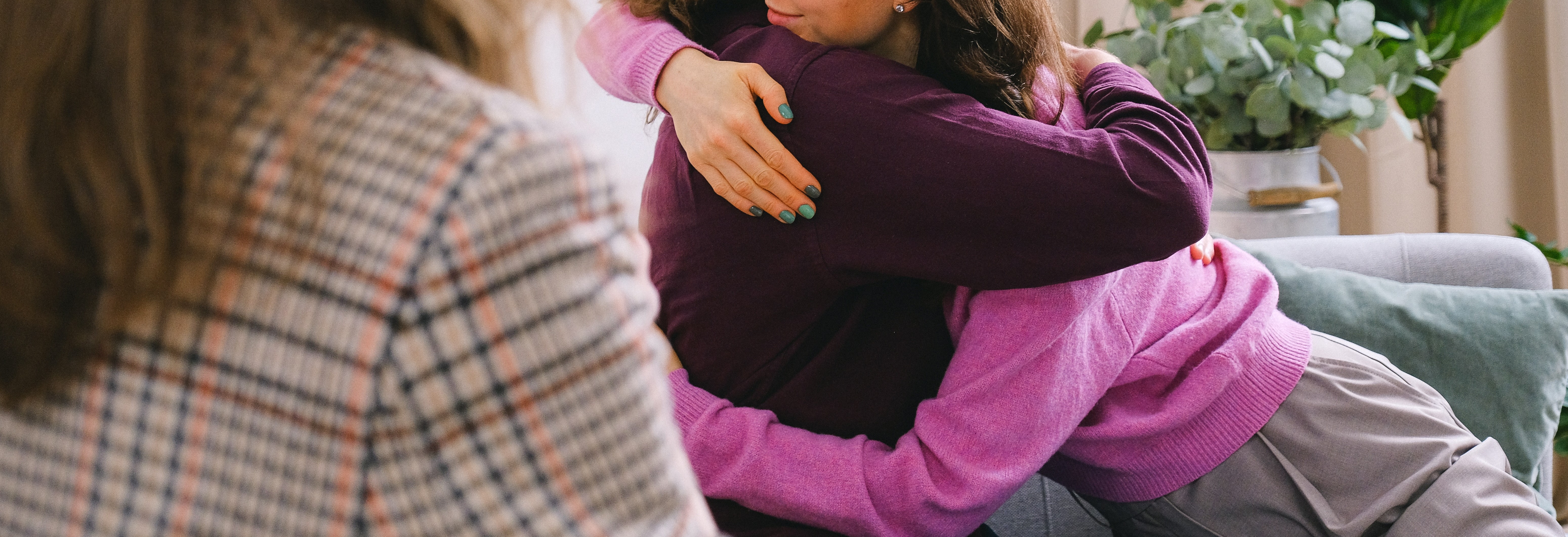 Imagen de apoyo Imagen de apoyo